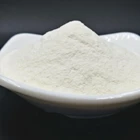 Agen Pengental Hydroxyethyl Cellulose 100gr 1